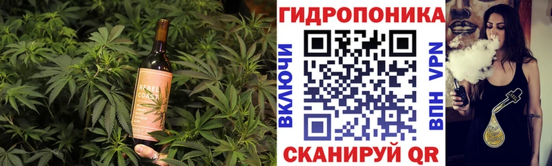 закладки  Александровск  МЕГА сайт  Cannafood конопля 