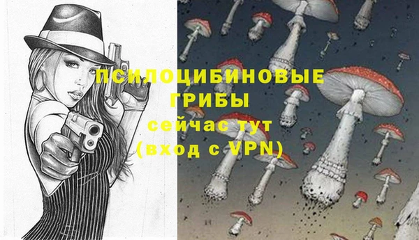 ешки Абинск