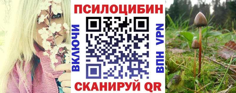 блэк спрут сайт  Александровск  Псилоцибиновые грибы мухоморы 